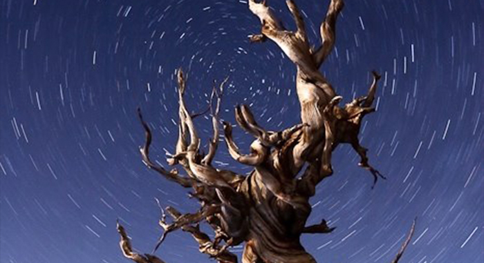 Clinical Hypnotherapy